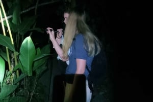 NACHTWANDERUNG - GUTER ORT, UM FAULTIERE, FLORA UND FAUNA ZU SEHEN