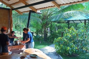 NACHTWANDERUNG - GUTER ORT, UM FAULTIERE, FLORA UND FAUNA ZU SEHEN