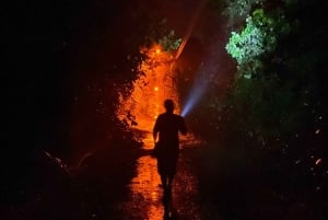 NightWalk Tour In Tortuguero Trails **Top Tour In The Area**