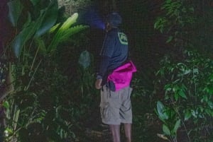 NightWalk Tour In Tortuguero Trails **Top Tour In The Area**