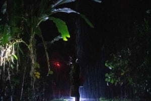 NightWalk Tour In Tortuguero Trails **Top Tour In The Area**