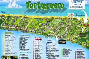NightWalk Tour In Tortuguero Trails **Top Tour In The Area**