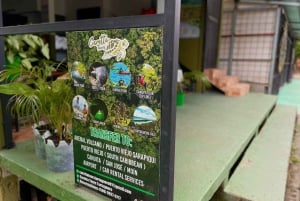 NightWalk Tour In Tortuguero Trails **Top Tour In The Area**