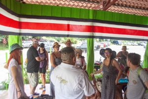 NightWalk Tour In Tortuguero Trails **Top Tour In The Area**