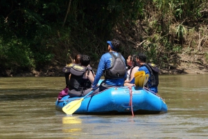Natlig natursafari-safari-float