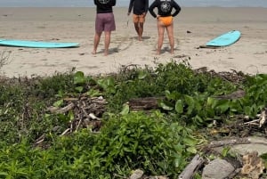 Nosara: Playa Guiones Surf Lesson with Local Instructor