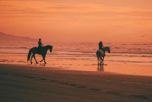 Nosara: Excursión privada a caballo