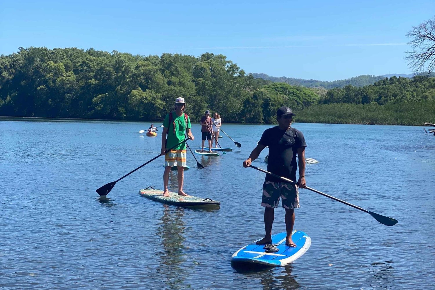 Nosara: Rio Montana Mangrove SUP- tai kajakkiretki