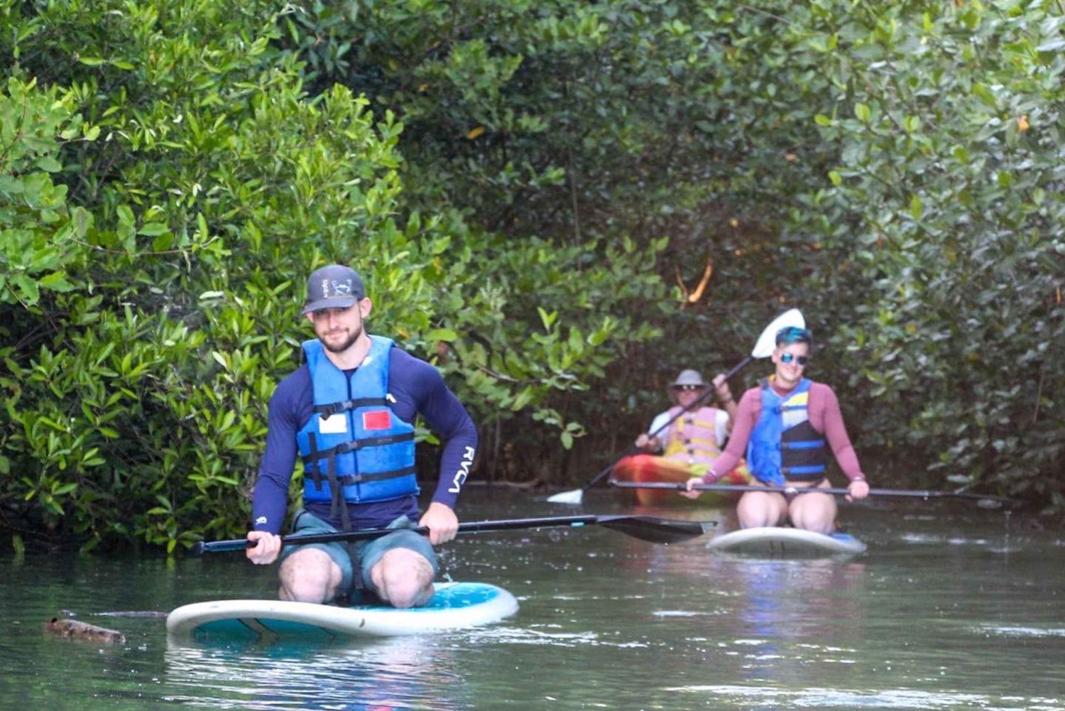 Nosara: Rio Montana Mangrove SUP- of kajaktocht