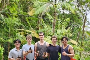 Nuevo Arenal: Zipline-eventyr