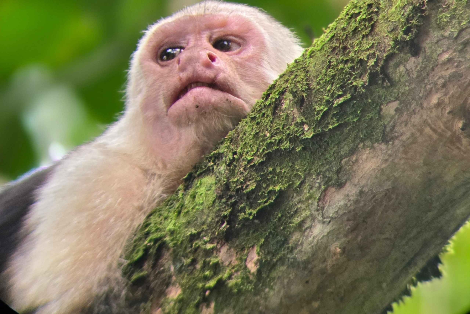 オホチャル：カヤックツアー