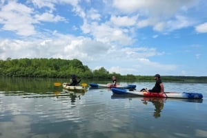 Ojochal : Excursion en kayak