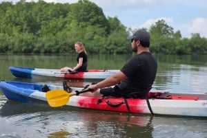 Ojochal : Excursion en kayak