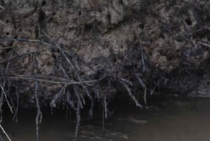 Ojochal : Excursion en kayak