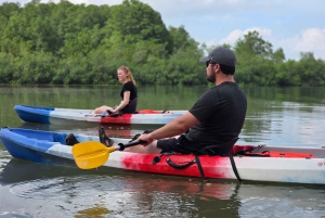 オホチャル：カヤックツアー