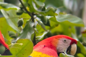 オホチャル：カヤックツアー