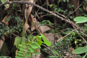 オホチャル：カヤックツアー