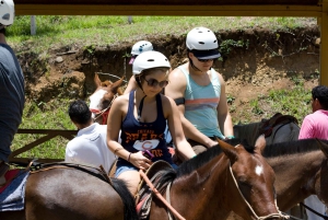 One Day Adventure Pass at Vida Aventura Nature Park