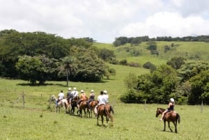 Pass avventura di un giorno al Parco Naturale Vida Aventura