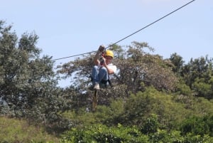 En dags opplevelseskort i Vida Aventura naturpark