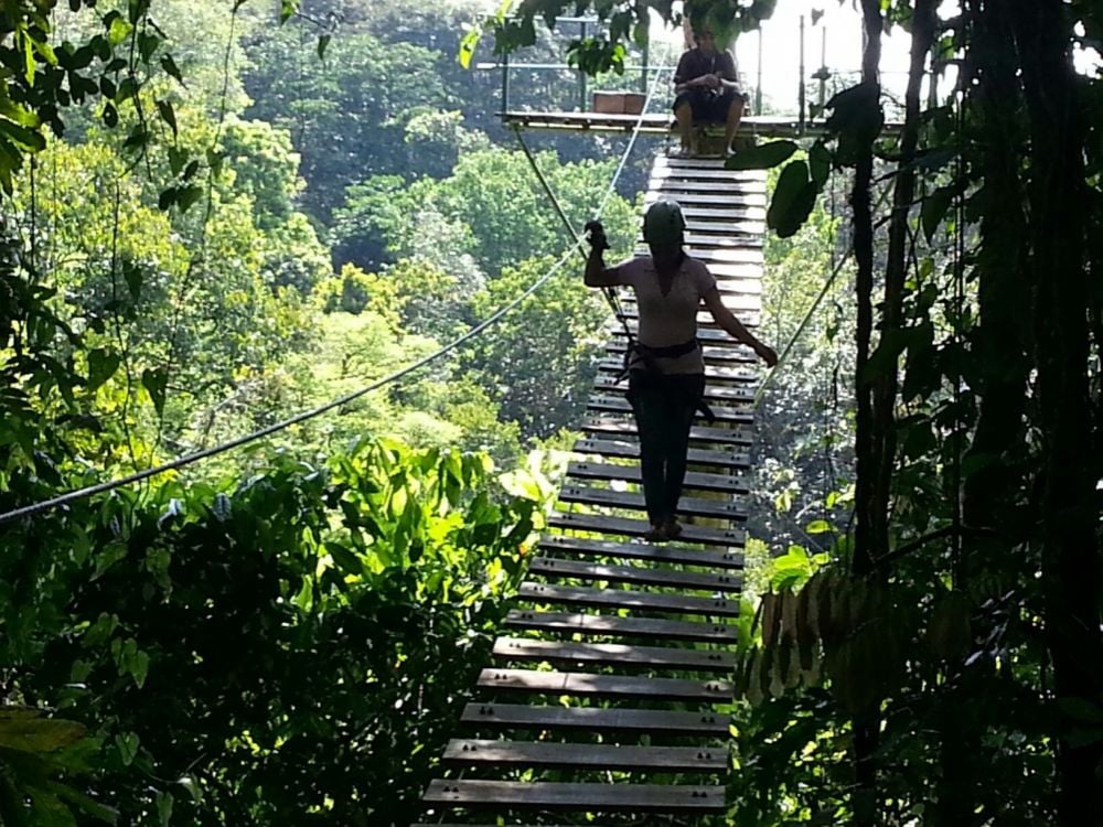 Osa Canopy Tour