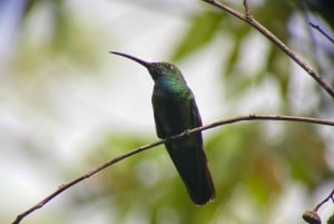 Увита: Археологические места с камнями-сферами