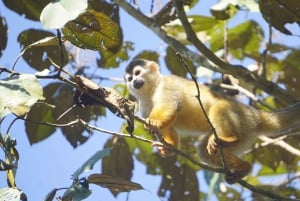 Увита: Археологические места с камнями-сферами