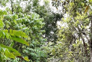 Увита: Археологические места с камнями-сферами