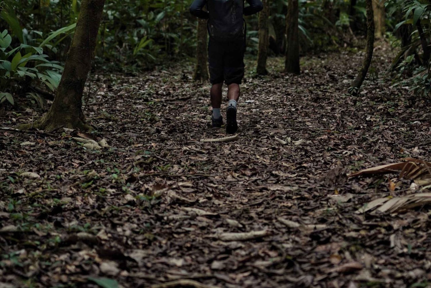 Noche en Sirena y San Pedrillo, Parque Nacional de Corcovado
