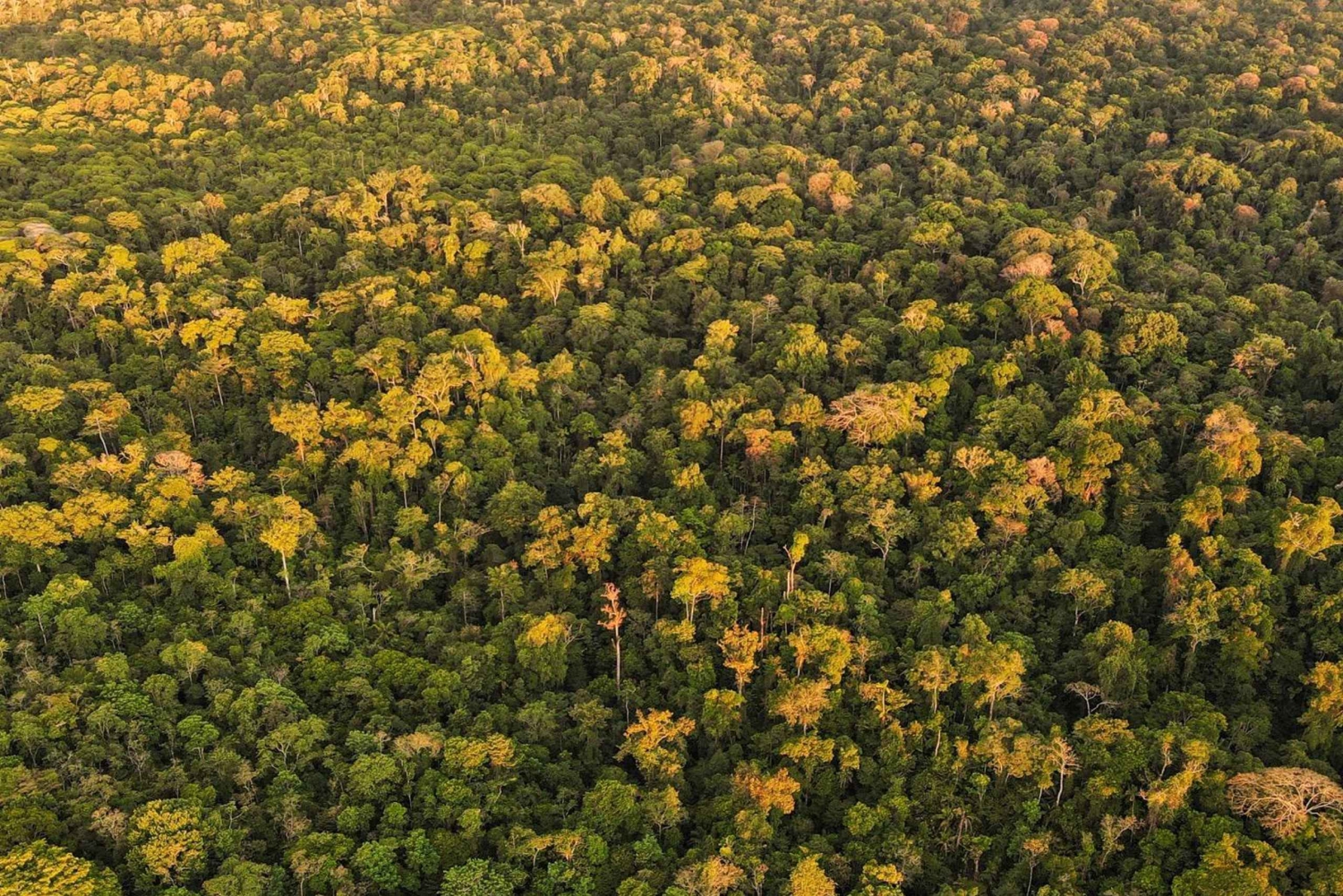 Noche en Sirena y San Pedrillo, Parque Nacional de Corcovado