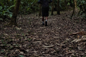 Noche en Sirena y San Pedrillo, Parque Nacional de Corcovado