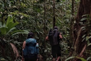 Nuitée Sirena & San Pedrillo, Parc national du Corcovado