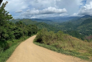 Palmar Norte: Boruca culturele rondleiding