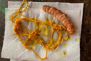 Palmar Norte: Boruca culturele rondleiding