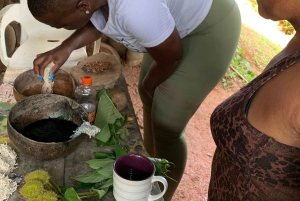 Palmar Norte: Boruca culturele rondleiding