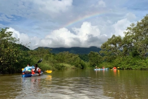 Palmar Norte: in kayak nella foresta di mangrovie