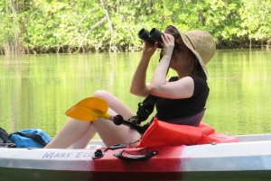 Palmar Norte: in kayak nella foresta di mangrovie