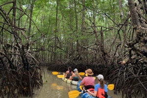 Palmar Norte: in kayak nella foresta di mangrovie