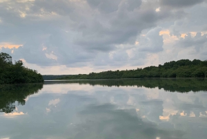Palmar Norte: in kayak nella foresta di mangrovie