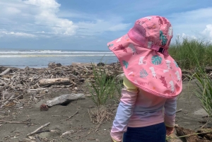 Palmar Norte: in kayak nella foresta di mangrovie