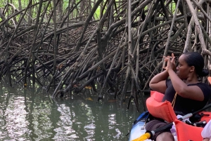 Palmar Norte: in kayak nella foresta di mangrovie