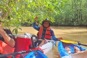 Palmar Norte: in kayak nella foresta di mangrovie