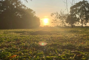 Palmar Norte: visita ao Património Mundial
