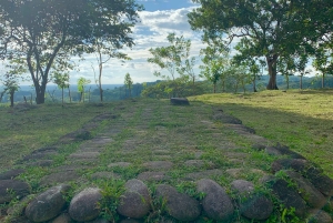 Palmar Norte: visita ao Património Mundial