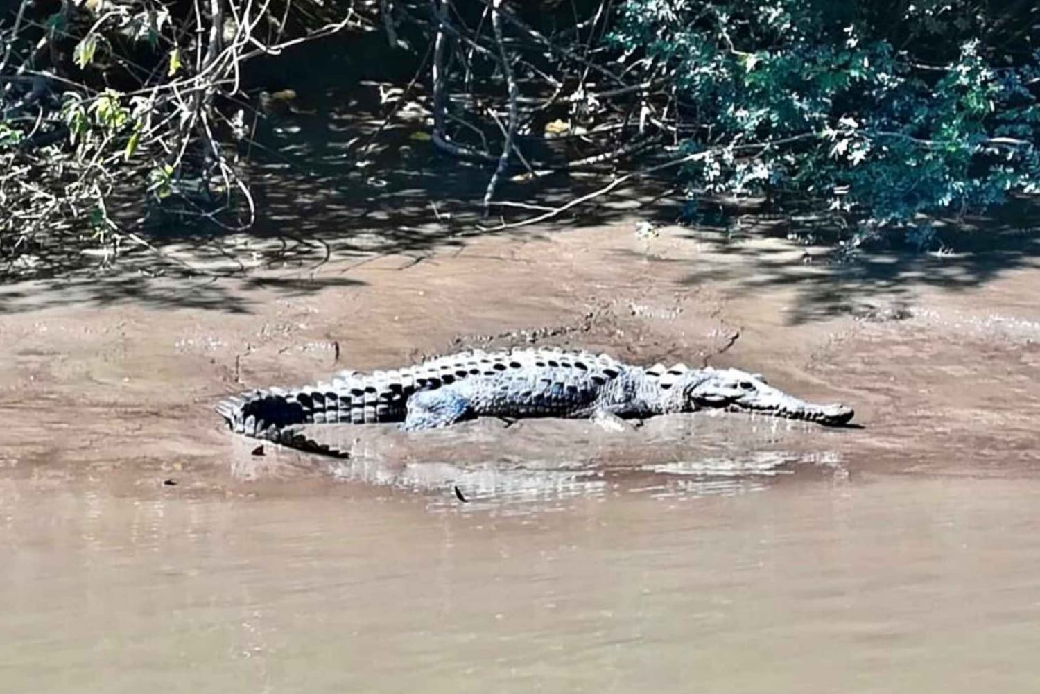 Palo Verde & Guatil: Jungle Boat Tour, Pottery & Lunch