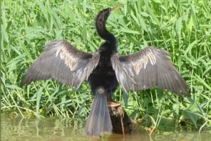 Palo Verde e Guatil: passeio de barco na selva, cerâmica e almoço