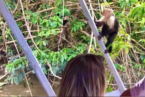 Palo Verde & Guatil: Jungle Boat Tour, keramiikka ja lounas