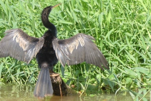 Palo Verde & Guatil: Jungle Boat Tour, Pottery & Lunch