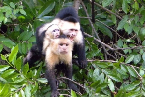 Palo Verde National Park by Costa Rica Xplores