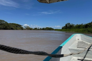 Visite du parc national de Palo Verde